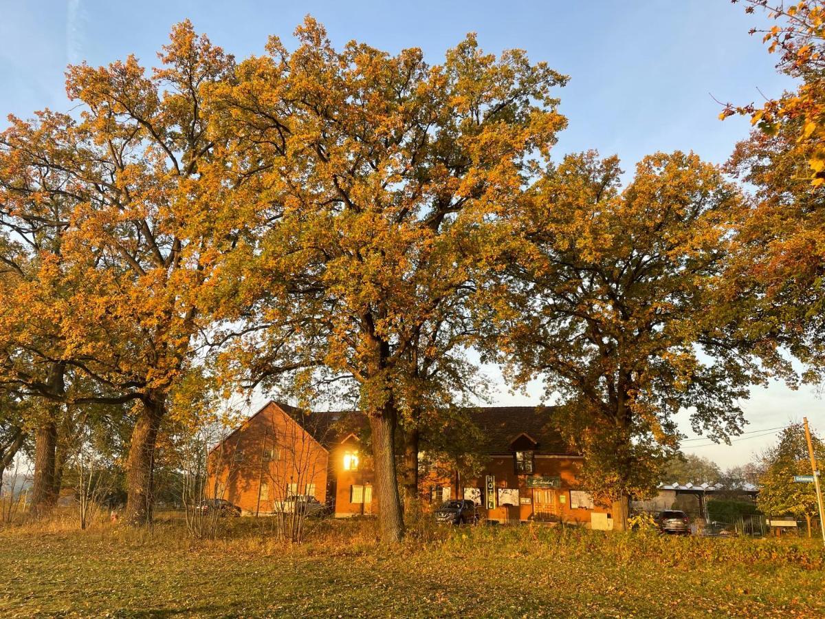 Eichenhof Hotel Garni Groß Köris المظهر الخارجي الصورة
